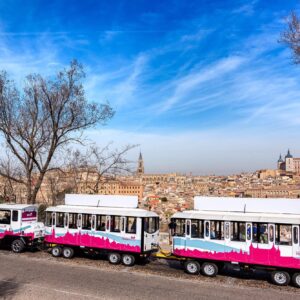Tren Turístico Adultos